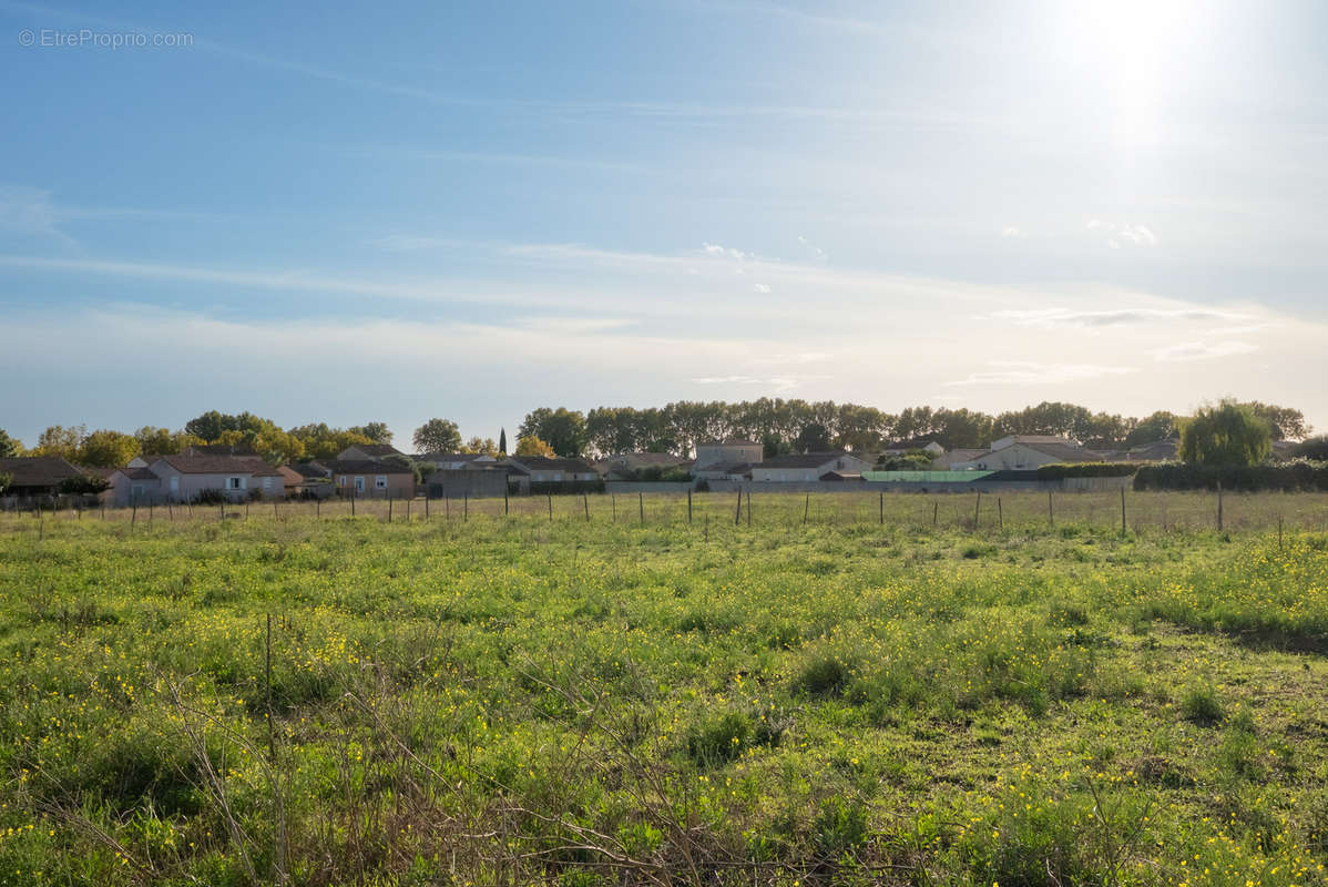 Terrain à MARSILLARGUES