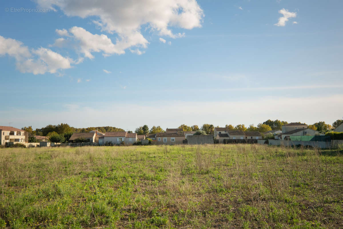 Terrain à MARSILLARGUES