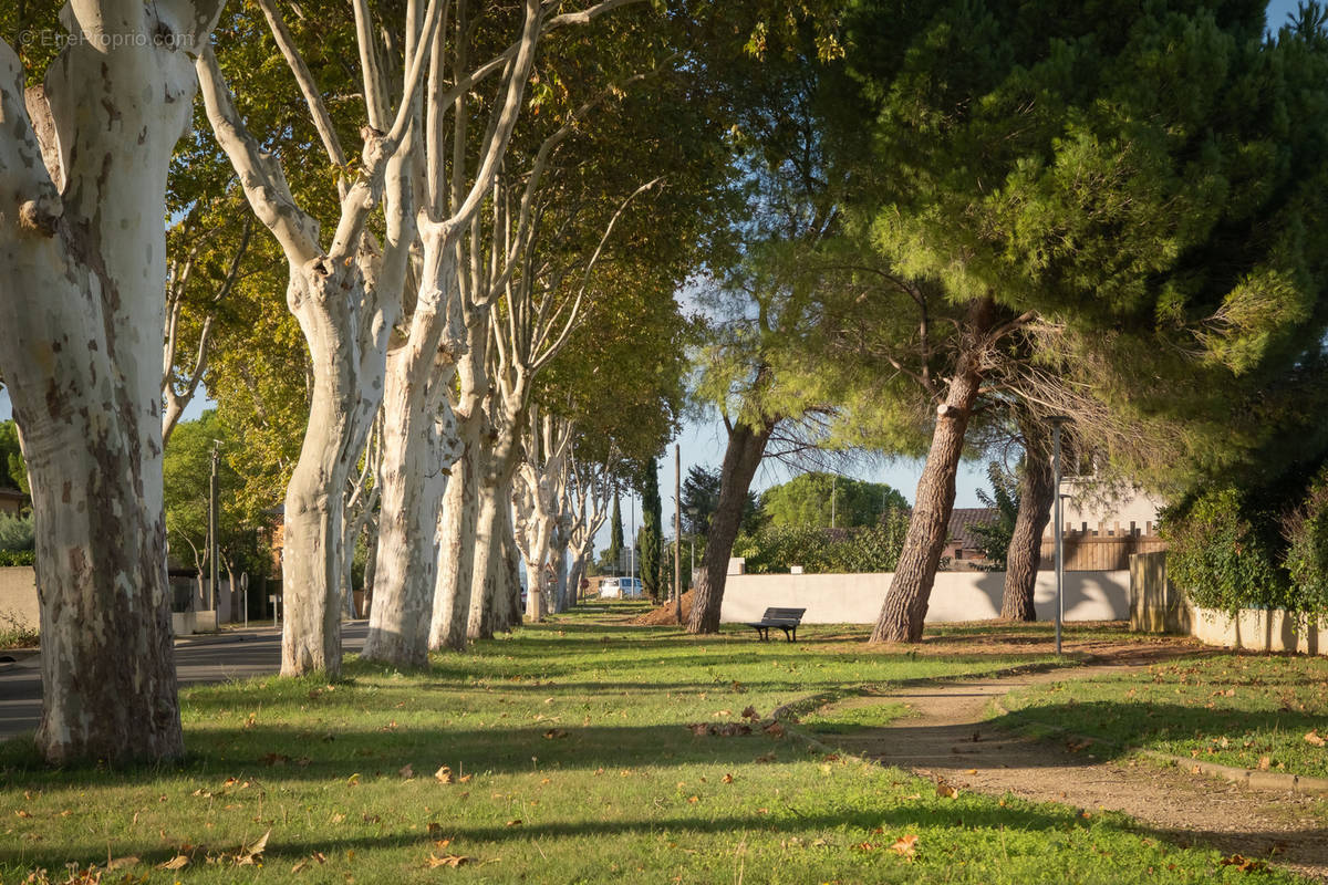 Terrain à NIMES