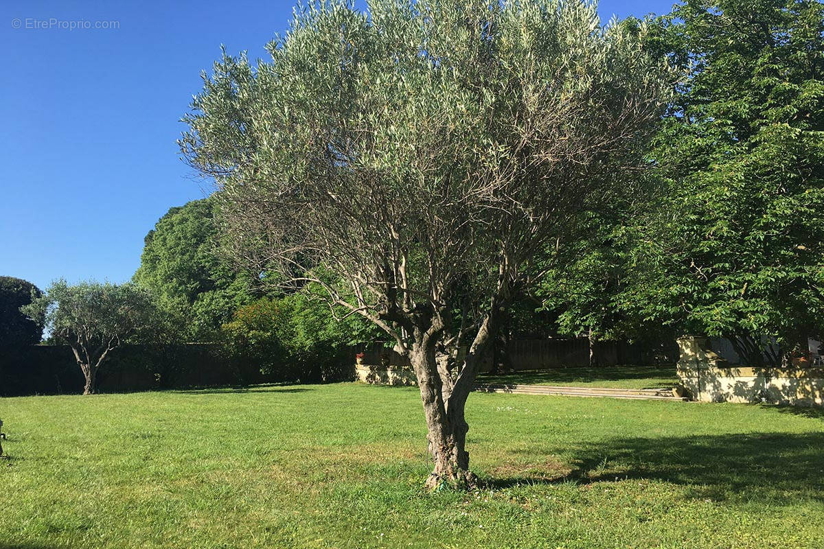 Terrain à GALLARGUES-LE-MONTUEUX