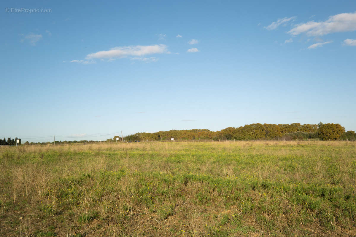 Terrain à LUNEL