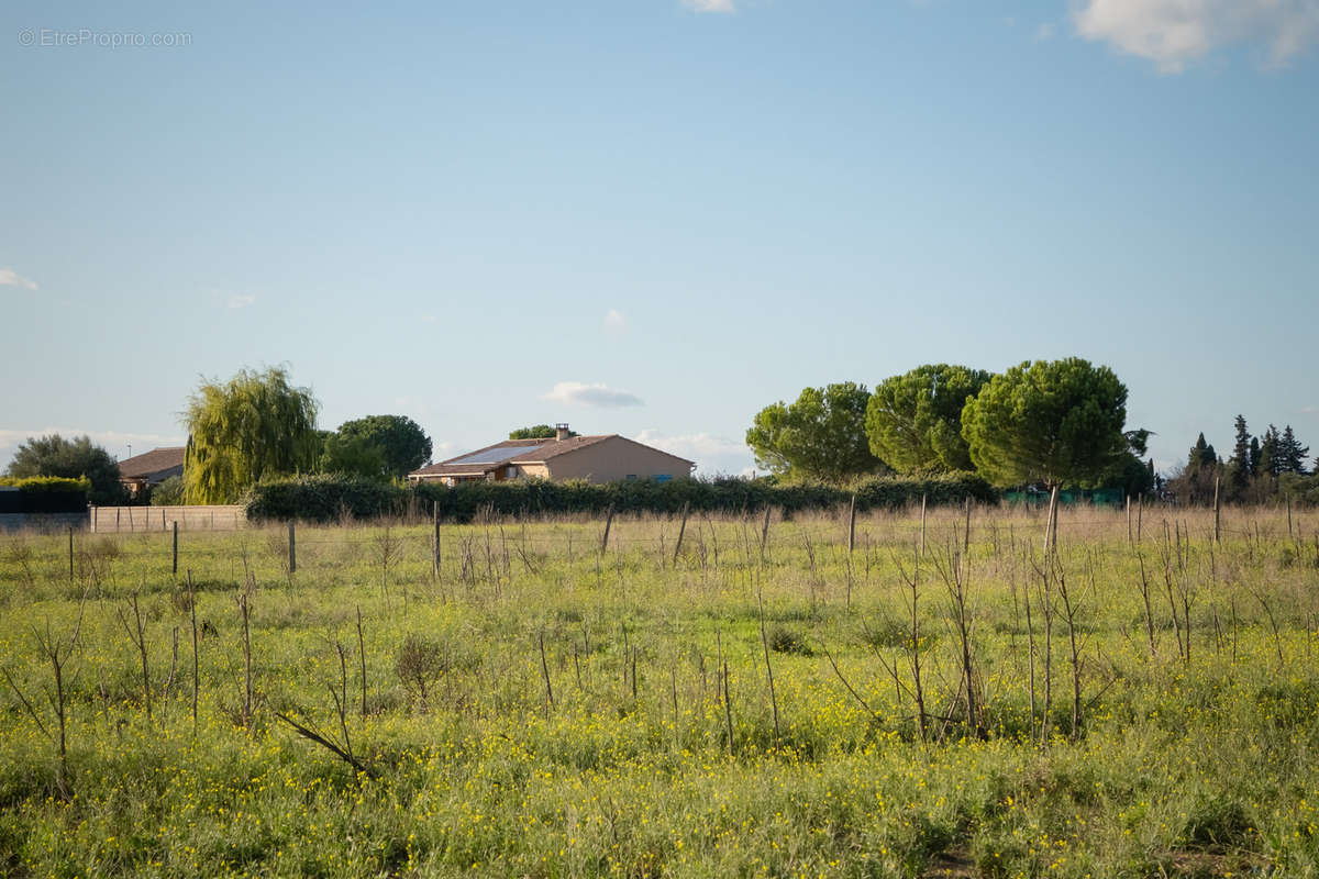 Terrain à LUNEL