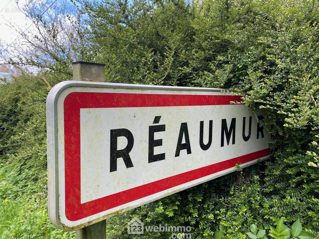 Située sur la commune de Réaumur, terrain à vendre ! - Terrain à REAUMUR