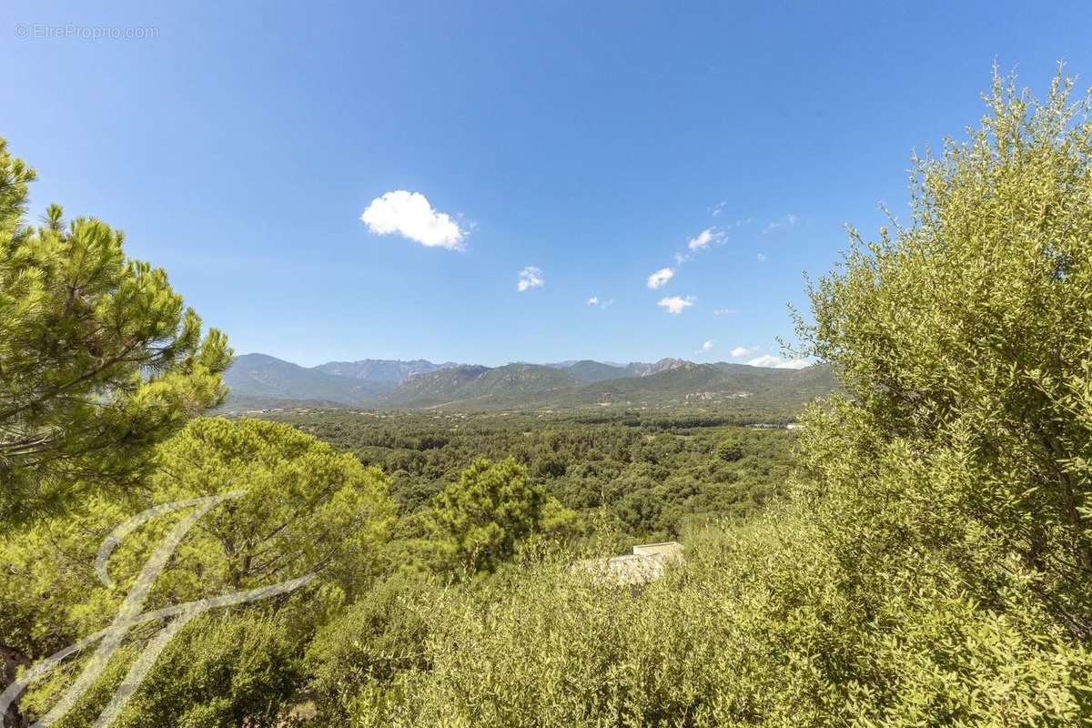 Maison à PORTO-VECCHIO