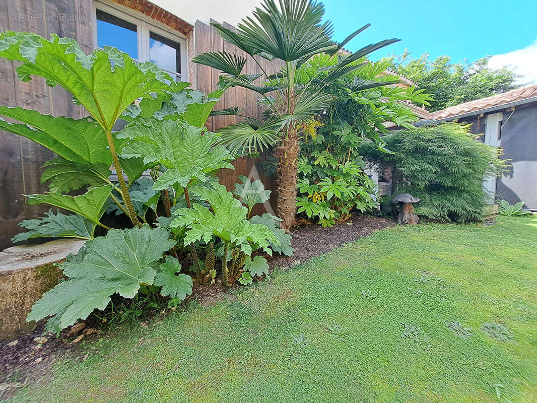 Maison à LES HERBIERS