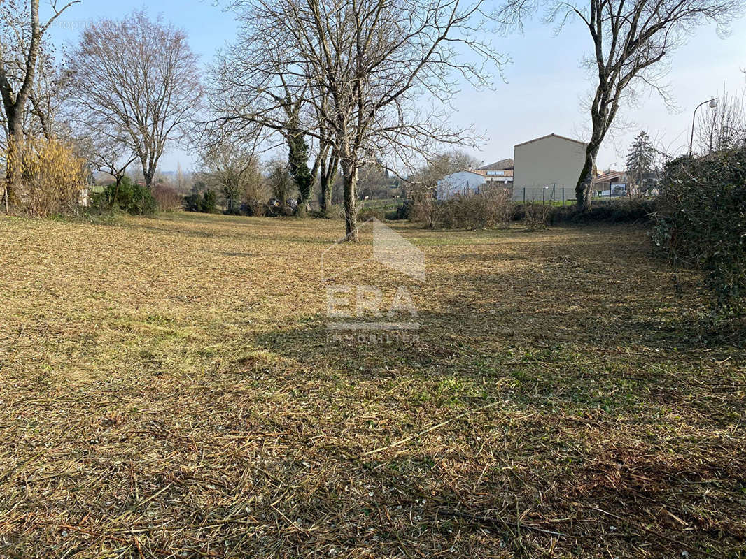 Terrain à CHAURAY