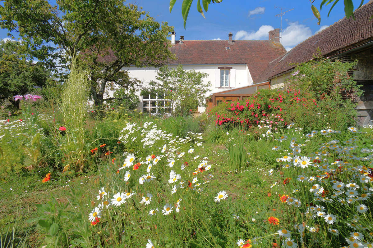 Maison à JOIGNY