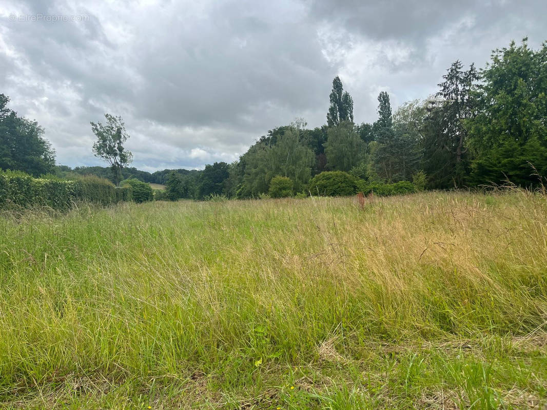 Terrain à COURTOMER