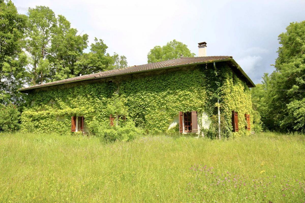 Maison à SAINT-JEAN-DE-BOURNAY