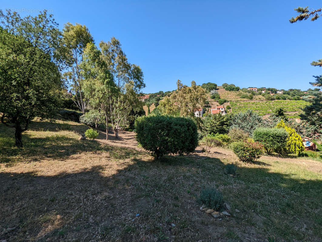 Appartement à COLLIOURE