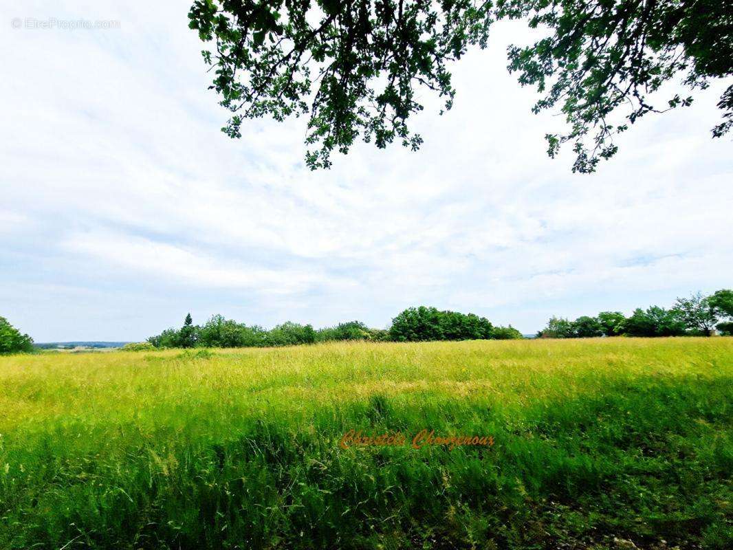 Terrain à SAINT-LEON-SUR-VEZERE