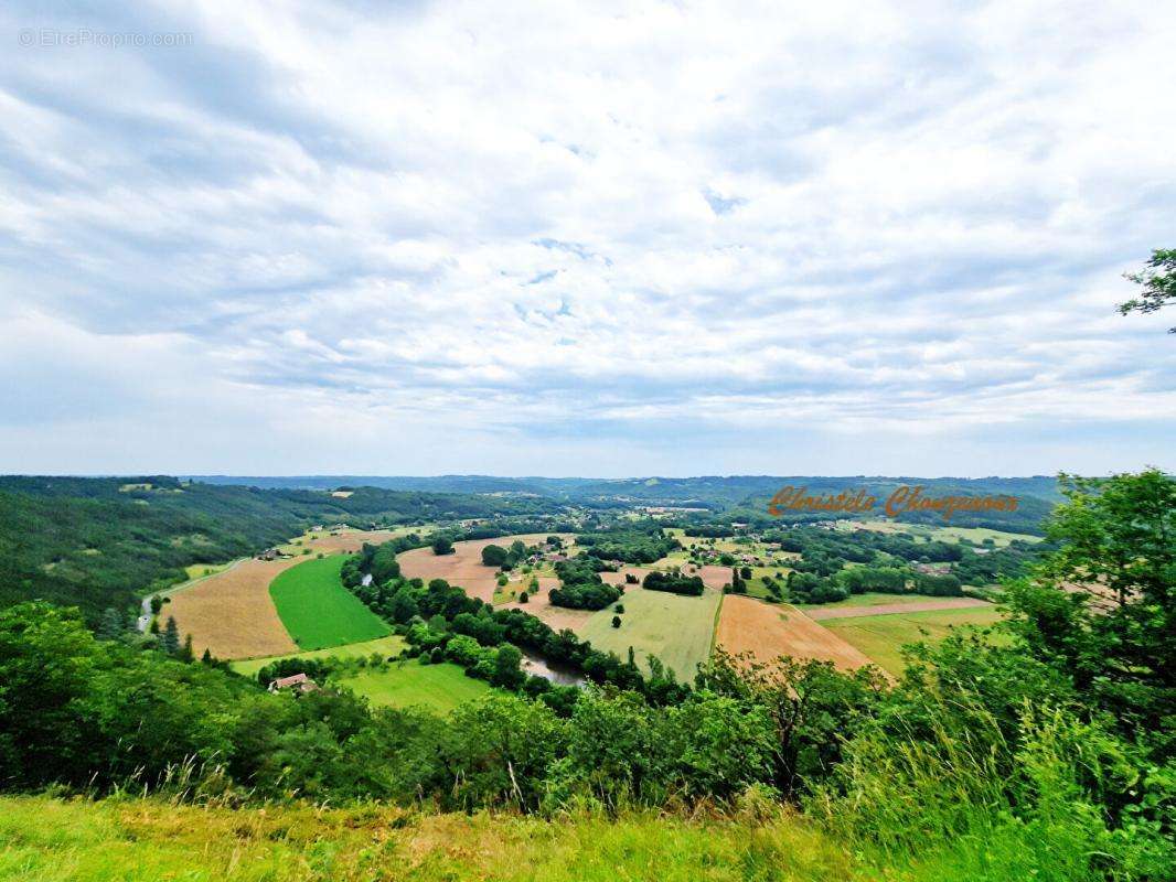 Terrain à SAINT-LEON-SUR-VEZERE