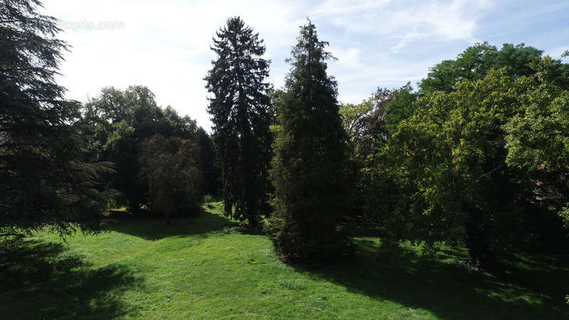 Maison à MISSY-SUR-AISNE