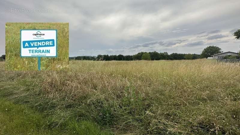 Terrain à SALLES-DE-BARBEZIEUX