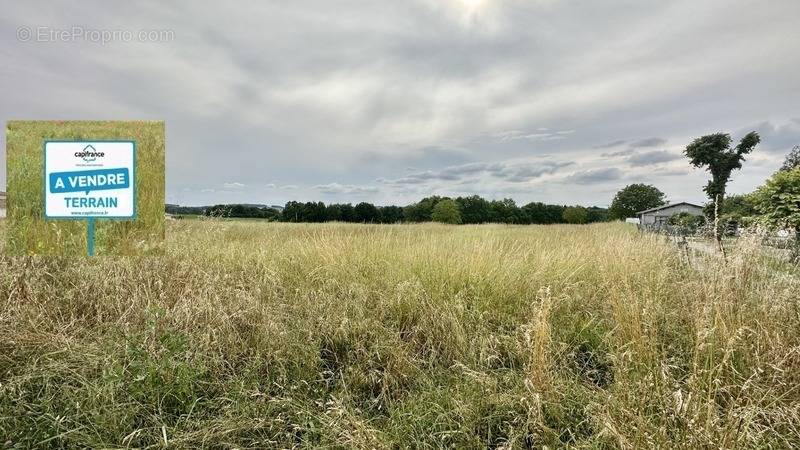 Terrain à SALLES-DE-BARBEZIEUX