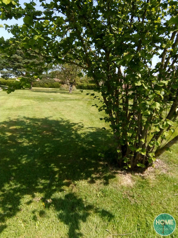 Terrain à LABARTHE-SUR-LEZE