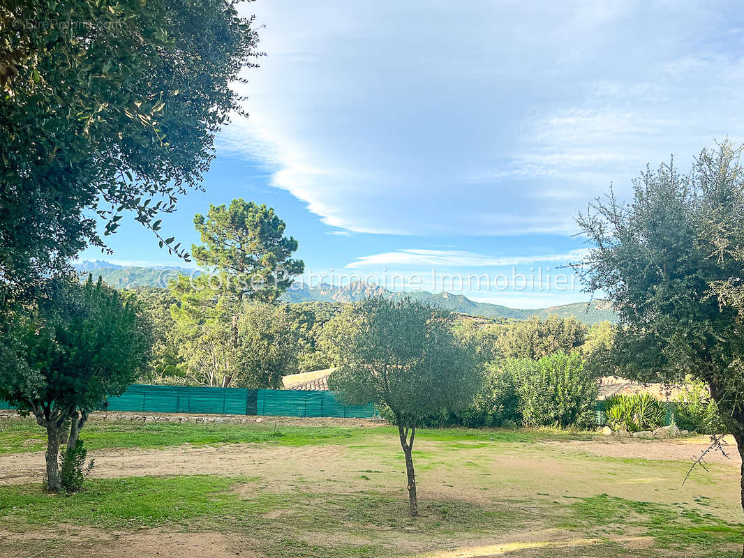 Terrain à PORTO-VECCHIO