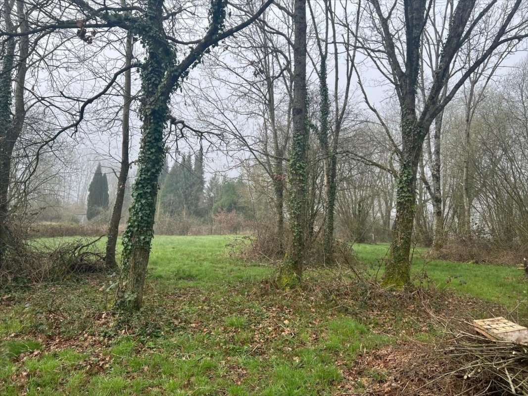 Autre à COURTONNE-LES-DEUX-EGLISES