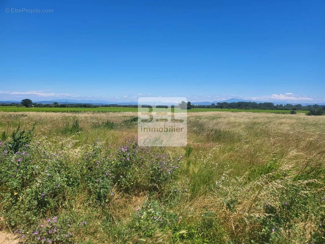 Terrain à LAUDUN-L&#039;ARDOISE