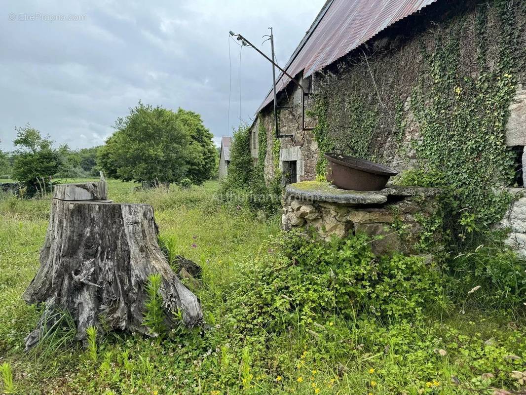 Maison à LANDEVANT