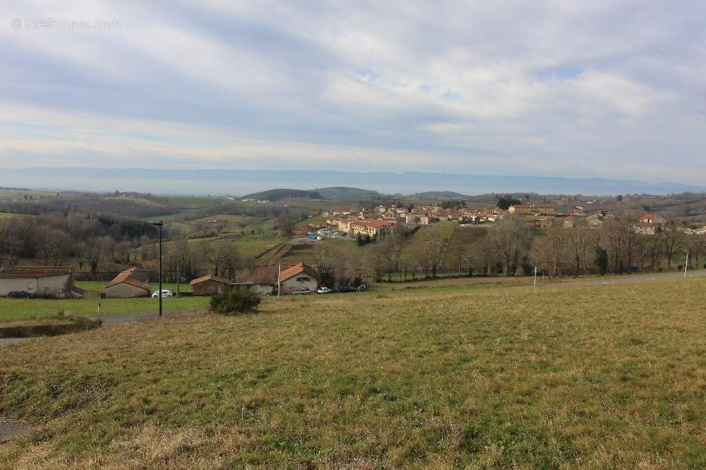 Terrain à MONTCHAL