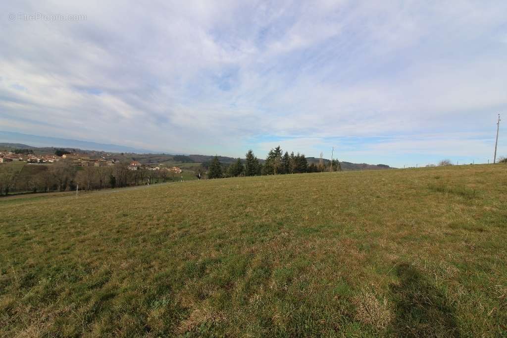 Terrain à MONTCHAL