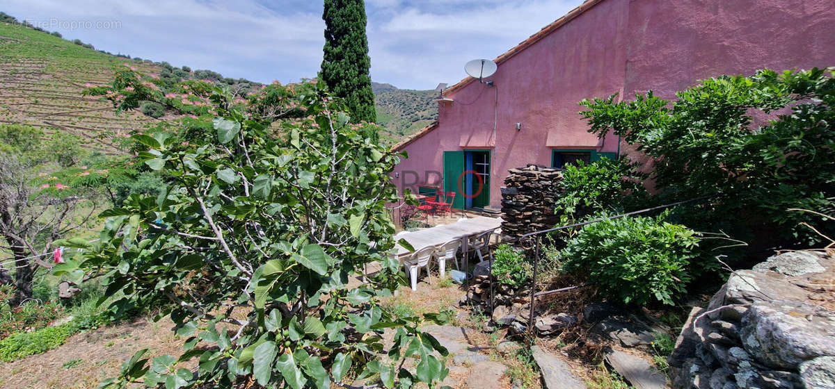 Maison à BANYULS-SUR-MER