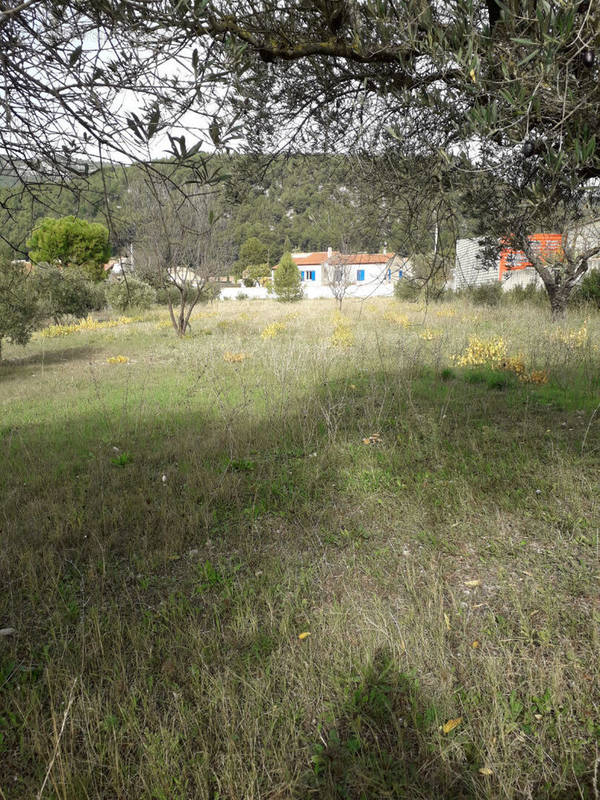 Terrain à CUGES-LES-PINS