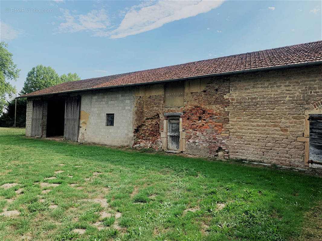 Maison à MONTREVEL-EN-BRESSE