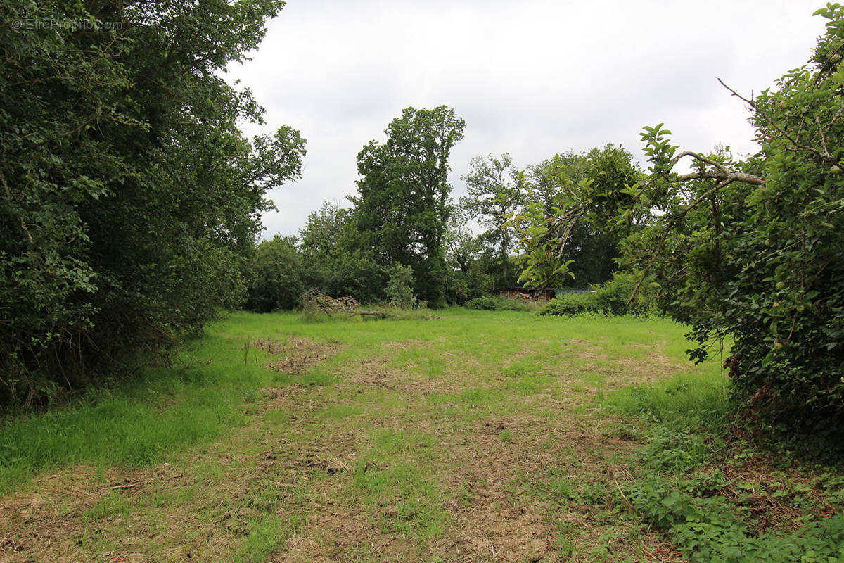 Terrain à CHATEAUNEUF-EN-THYMERAIS