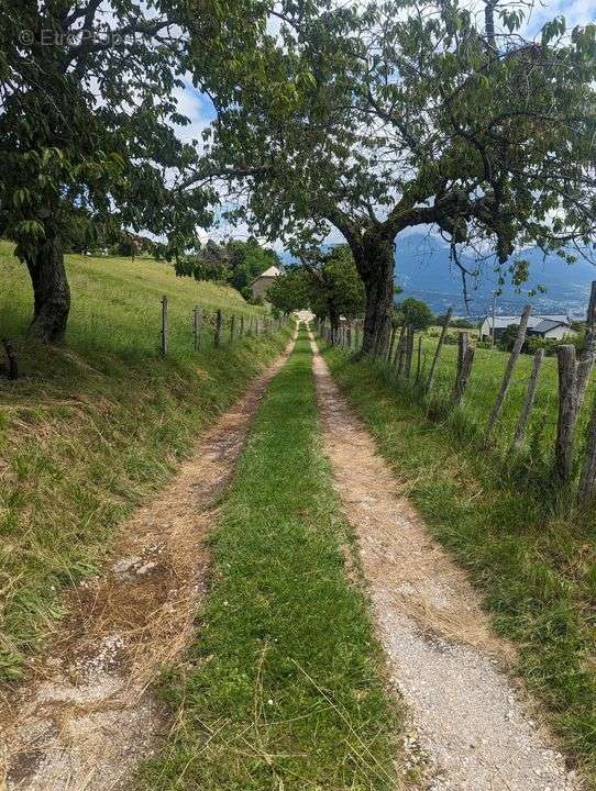 Terrain à VIMINES