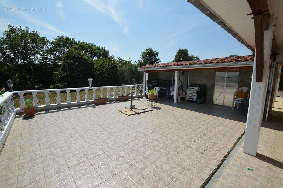 #maison #sudouest #errain #dépendances #garages #parfaitétat - Maison à MASSEUBE