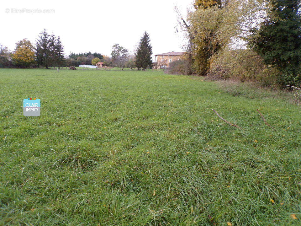 Terrain à SAINT-MAURICE-DE-SATONNAY