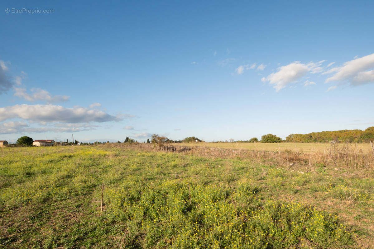 Terrain à AIMARGUES