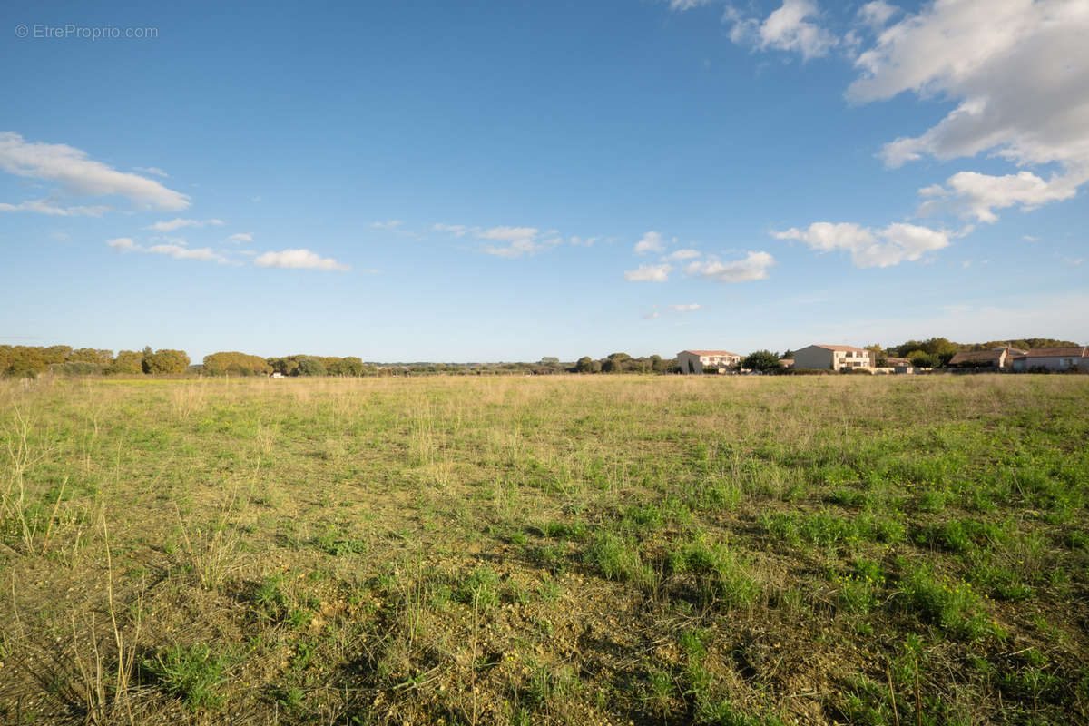 Terrain à AIMARGUES