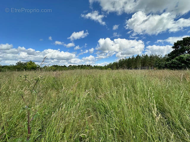 Terrain à LE FOUILLOUX