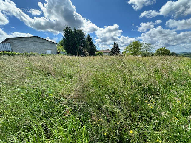 Terrain à LE FOUILLOUX