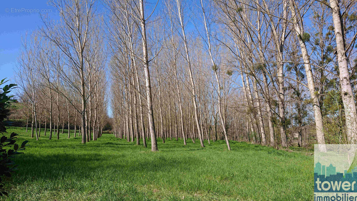 Terrain à MONTEILS