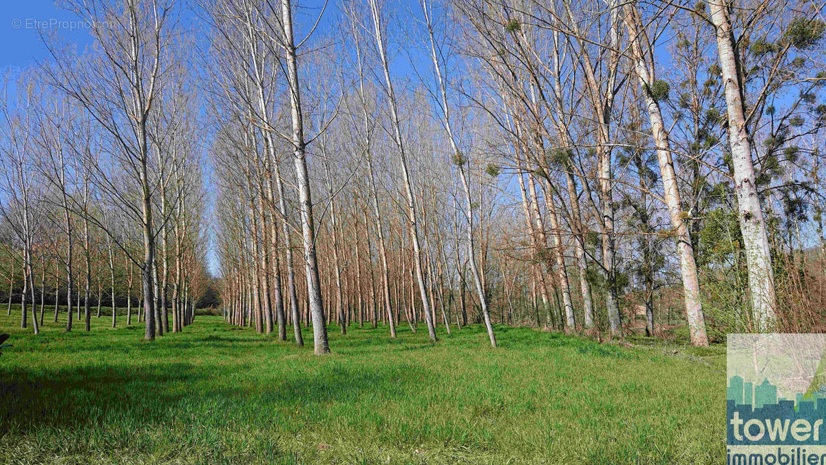 Terrain à MONTEILS