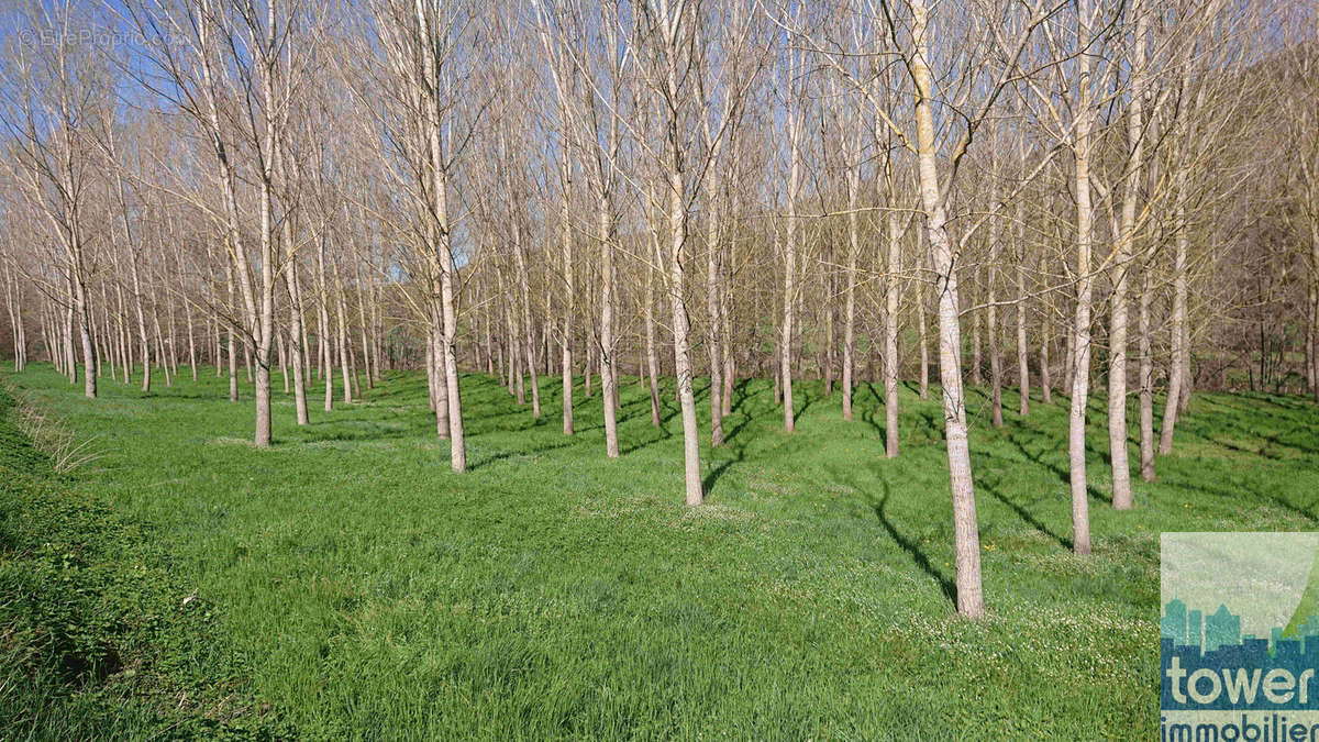 Terrain à MONTEILS