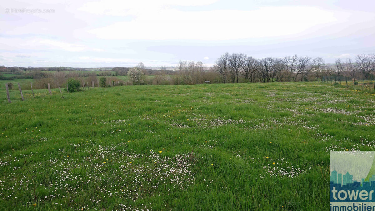 Terrain à SAVIGNAC