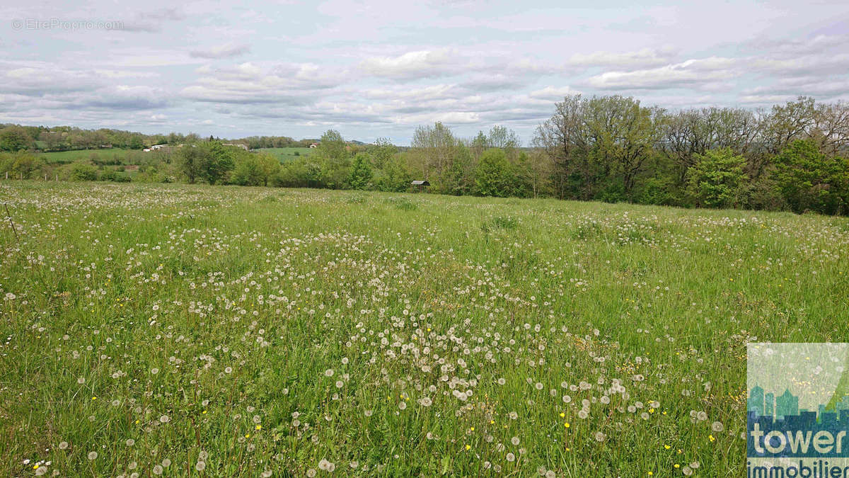 Terrain à SAVIGNAC