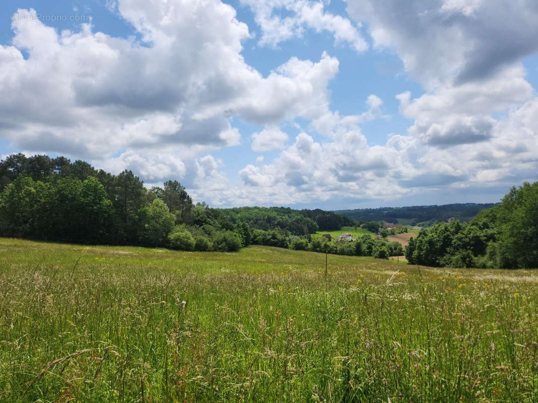 Terrain à VILLAMBLARD