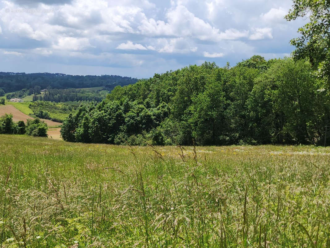 Terrain à VILLAMBLARD