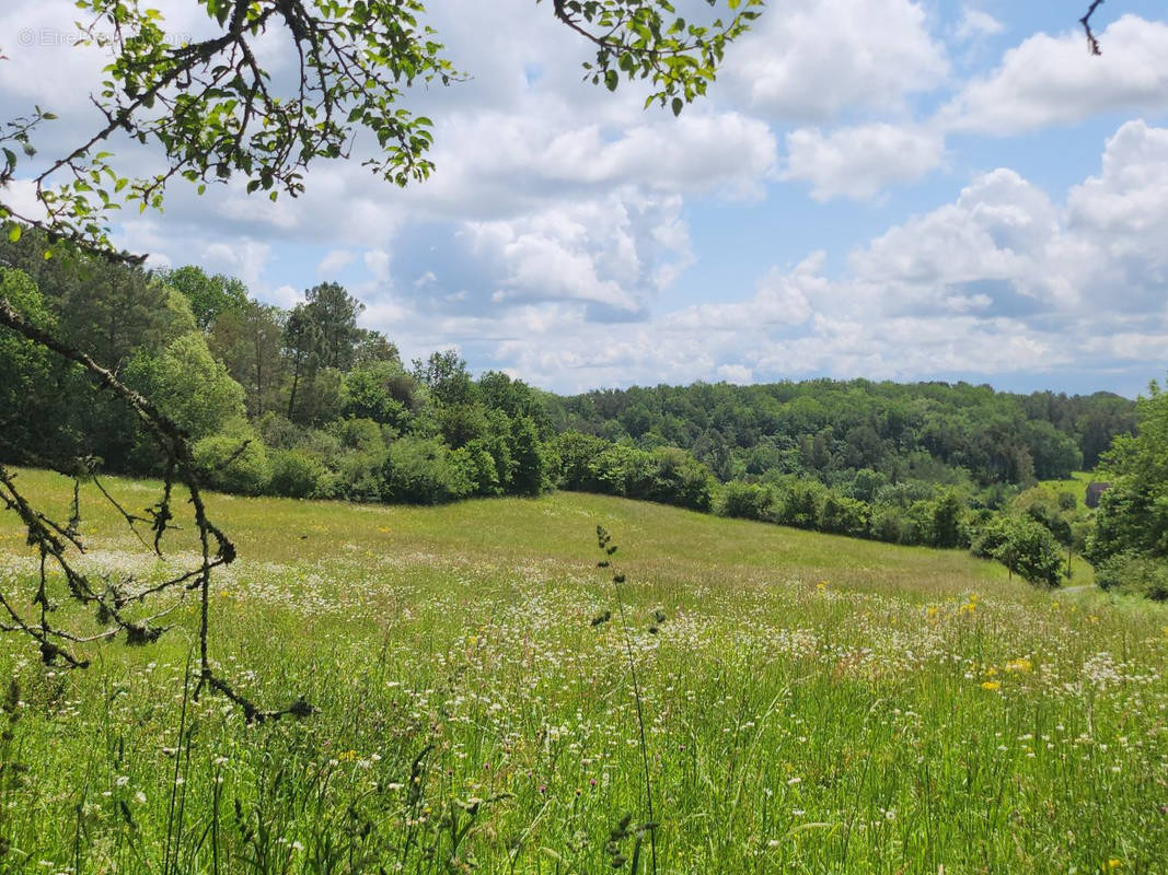 Terrain à VILLAMBLARD