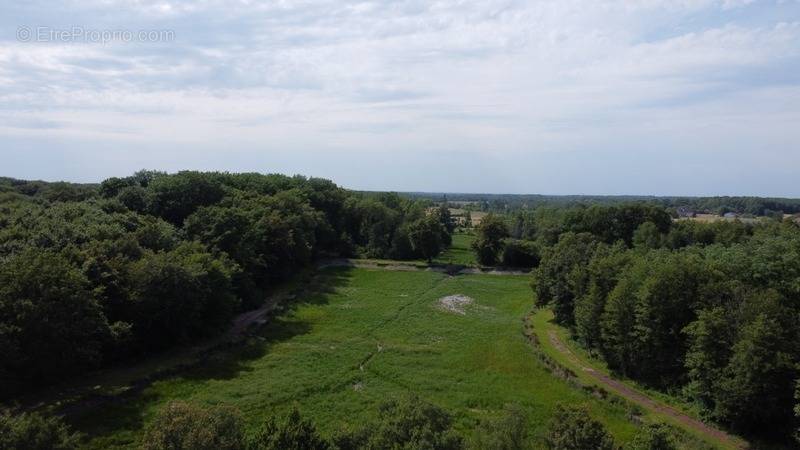 Terrain à BLETTERANS