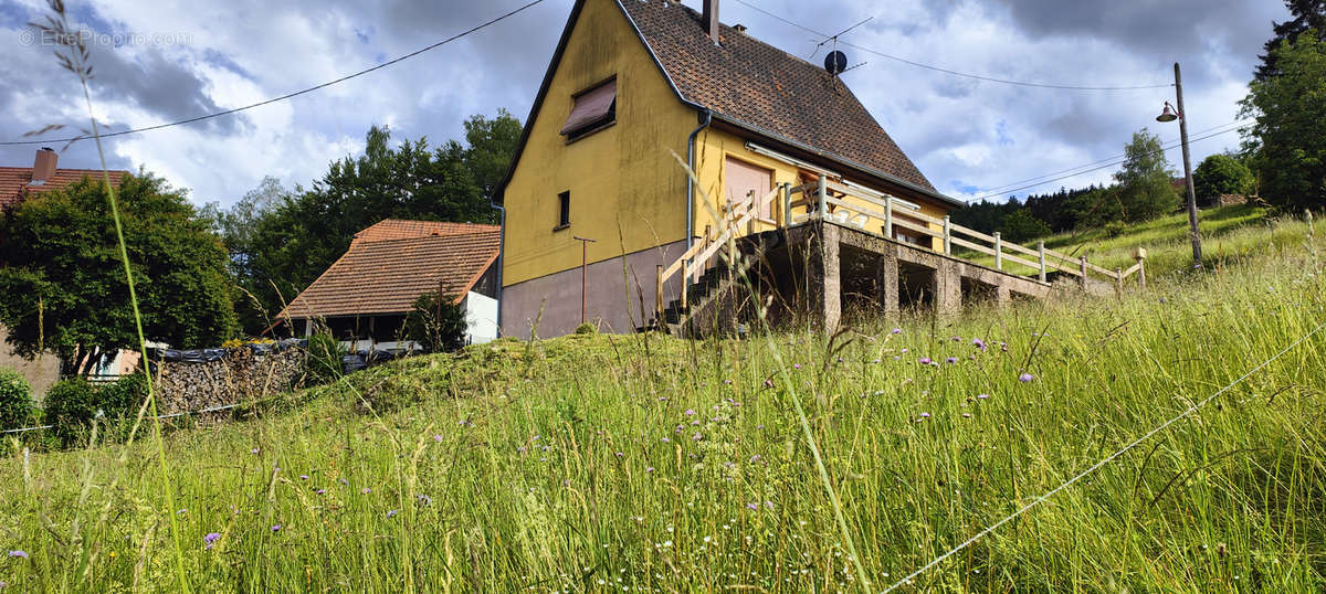 Maison à NEUVILLER-LA-ROCHE