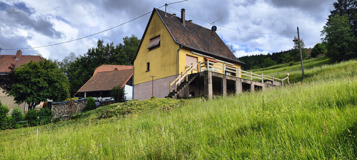 Maison à NEUVILLER-LA-ROCHE