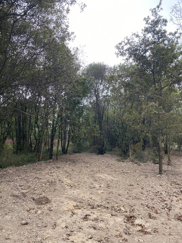 Terrain à LA GARNACHE