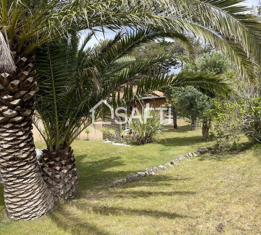 Photo 3 - Maison à LEGE-CAP-FERRET